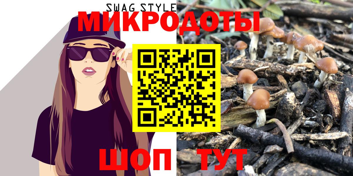 Галлюциногенные грибы Cubensis Сергиев Посад